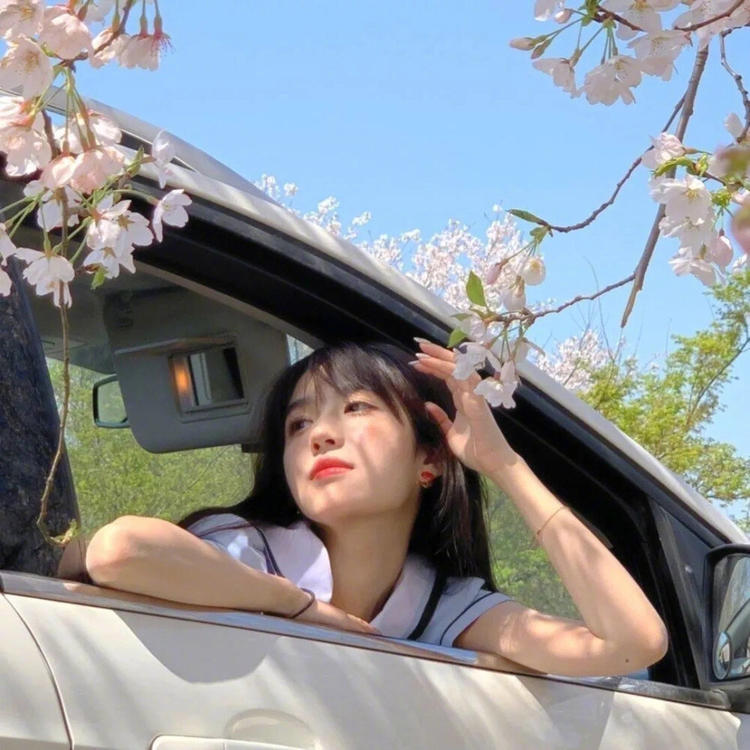 苍井优（饰 高荷惠） - 无码高清资源在线观看 - 在线影视